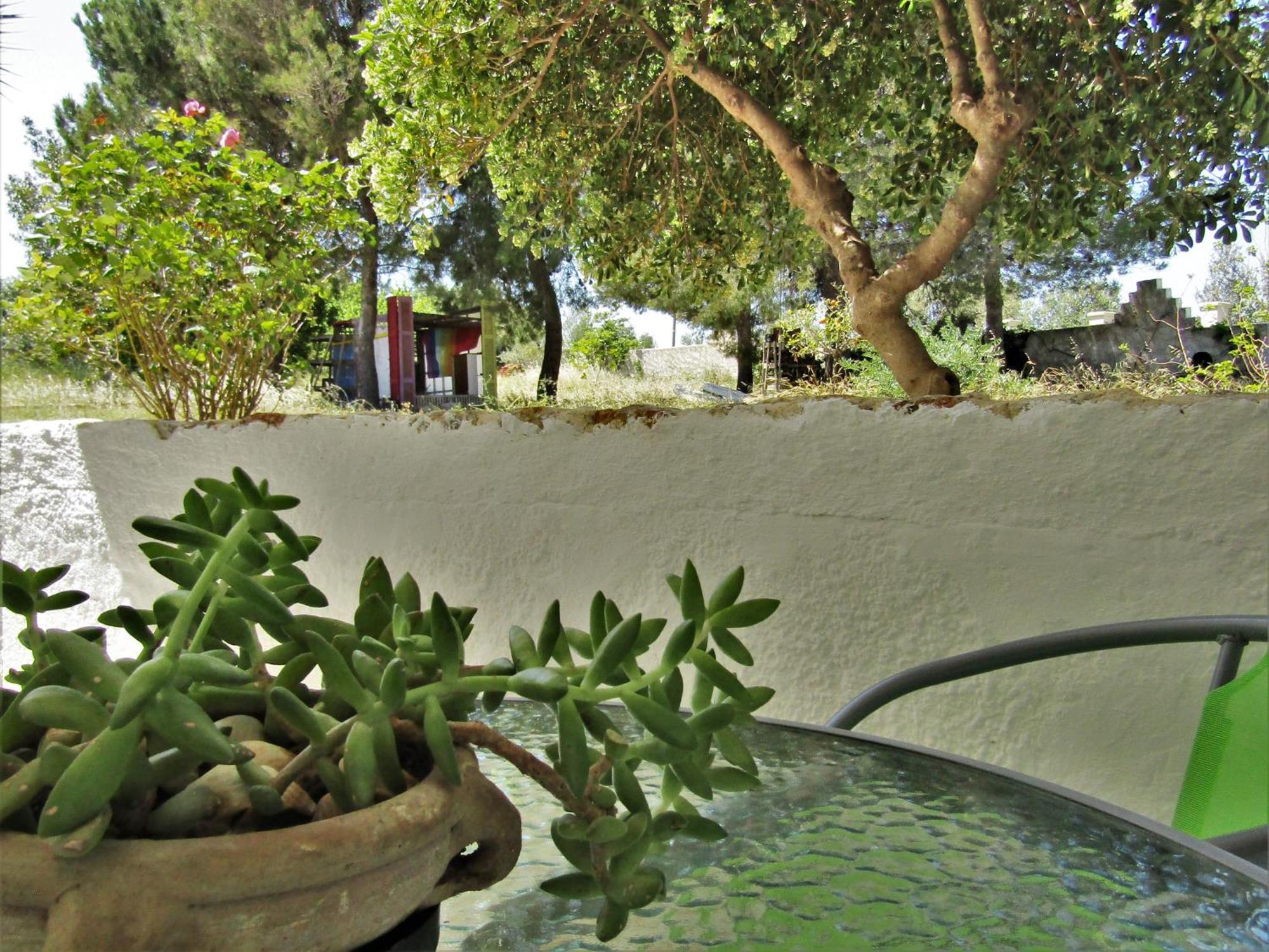 Asklipion Valley Guest House بلدة كوس المظهر الخارجي الصورة